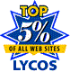 Top 5% of all websites